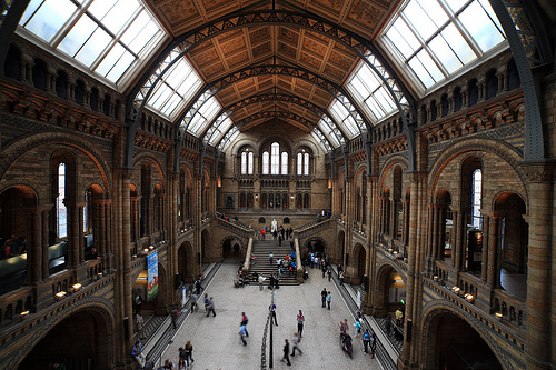 Объектив Samyang 14mm f/2.8 для Pentax